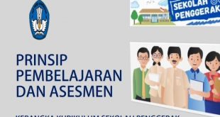 prinsip & asesmen psp